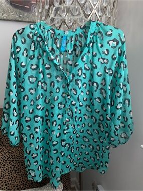 Francesca’s Boutique: Aqua Leopard Print Blouse
